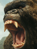 Kong: Skull Island Bild 1
