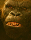 Kong: Skull Island Bild 3