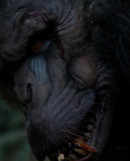 Primal Rage Bild 2